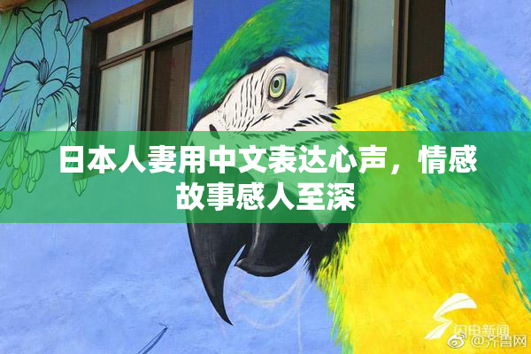 日本人妻用中文表达心声，情感故事感人至深