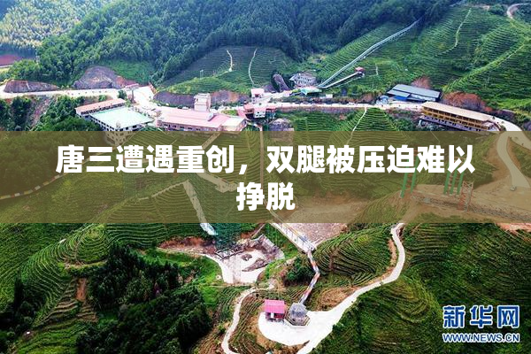 唐三遭遇重创，双腿被压迫难以挣脱