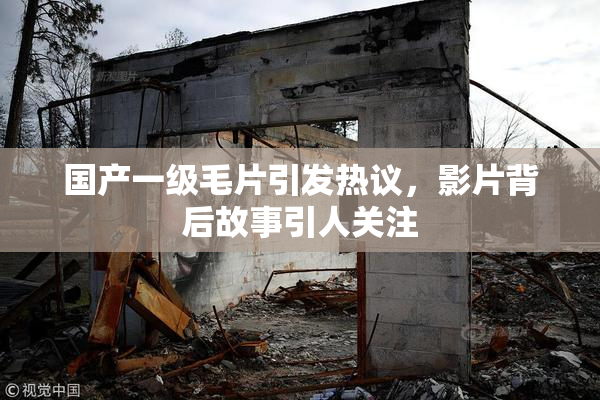 国产一级毛片引发热议，影片背后故事引人关注