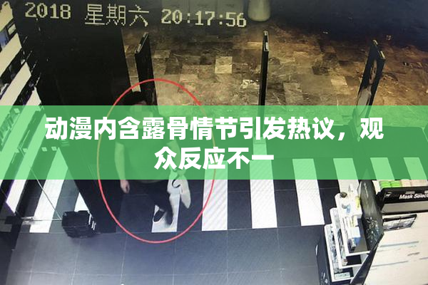 动漫内含露骨情节引发热议，观众反应不一