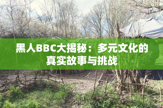 黑人BBC大揭秘：多元文化的真实故事与挑战
