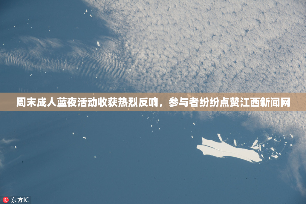 周末成人蓝夜活动收获热烈反响，参与者纷纷点赞江西新闻网