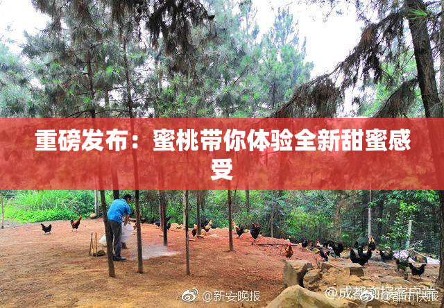 重磅发布：蜜桃带你体验全新甜蜜感受
