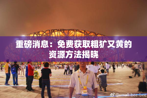 重磅消息：免费获取粗犷又黄的资源方法揭晓
