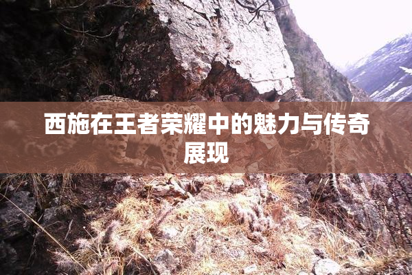 西施在王者荣耀中的魅力与传奇展现