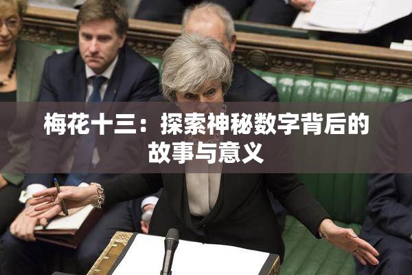 梅花十三：探索神秘数字背后的故事与意义