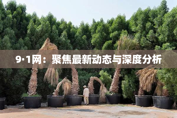 9·1网：聚焦最新动态与深度分析