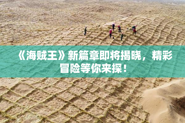 《海贼王》新篇章即将揭晓，精彩冒险等你来探！