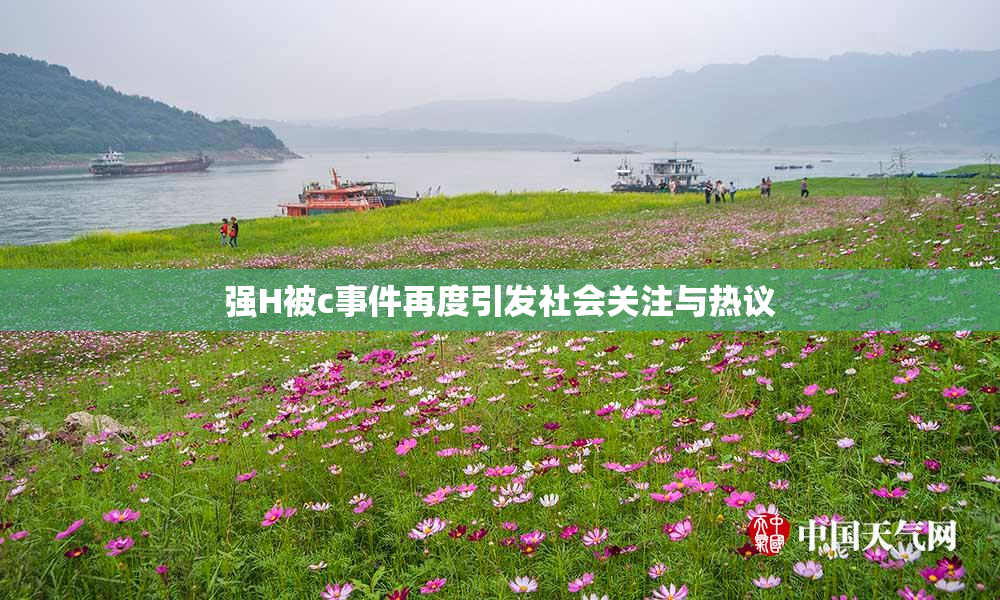强H被c事件再度引发社会关注与热议