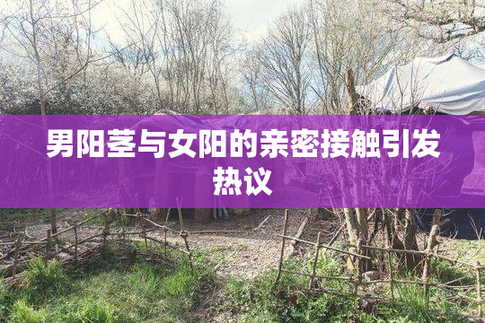 男阳茎与女阳的亲密接触引发热议