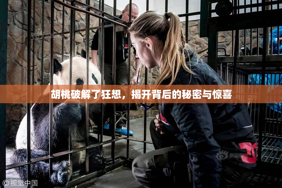 胡桃破解了狂想，揭开背后的秘密与惊喜