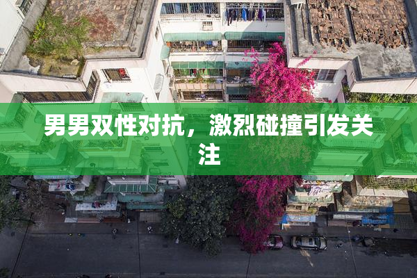男男双性对抗，激烈碰撞引发关注