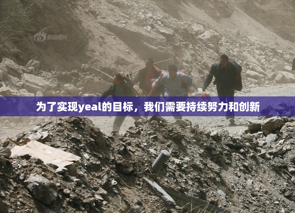 为了实现yeal的目标，我们需要持续努力和创新