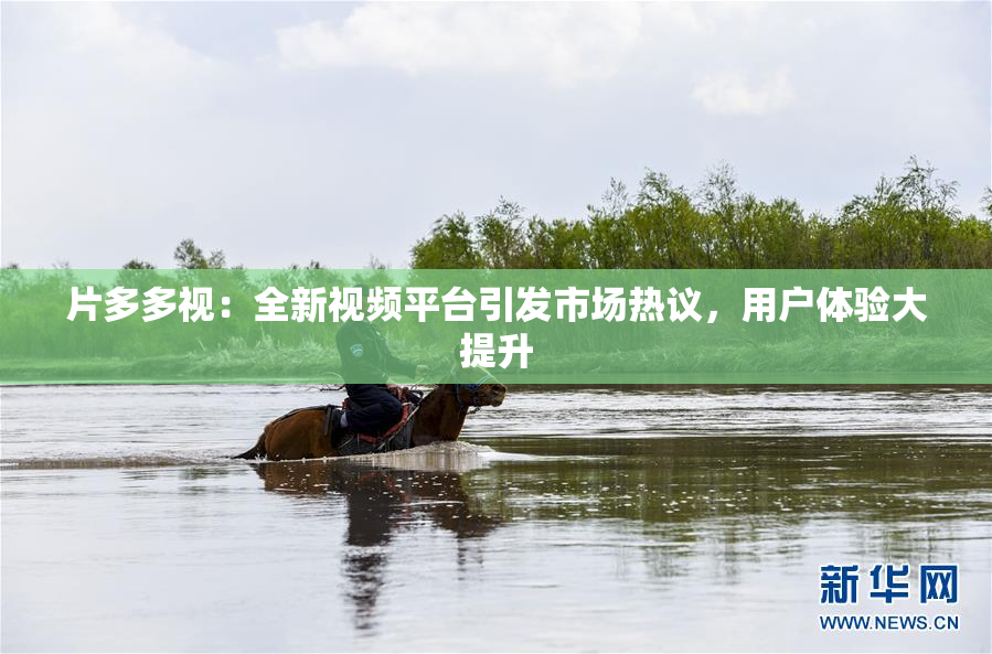 片多多视：全新视频平台引发市场热议，用户体验大提升