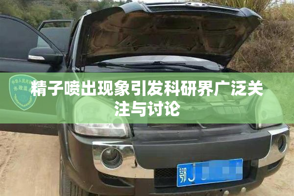 精子喷出现象引发科研界广泛关注与讨论