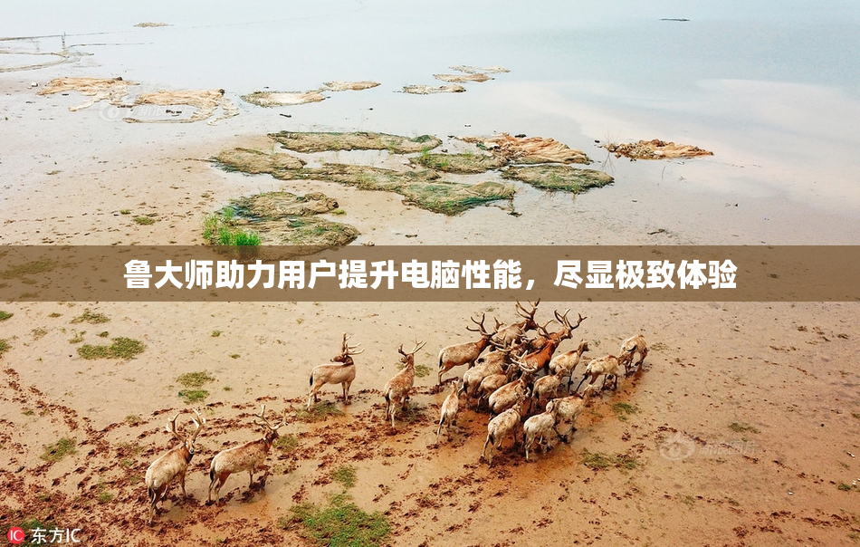 鲁大师助力用户提升电脑性能，尽显极致体验