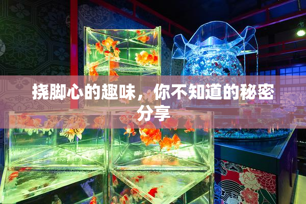 挠脚心的趣味，你不知道的秘密分享