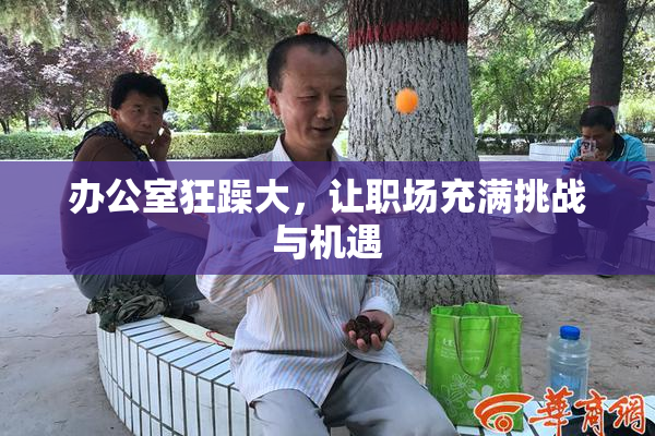 办公室狂躁大，让职场充满挑战与机遇