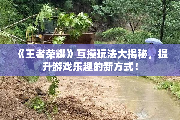 《王者荣耀》互摸玩法大揭秘，提升游戏乐趣的新方式！