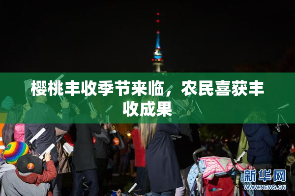 樱桃丰收季节来临，农民喜获丰收成果