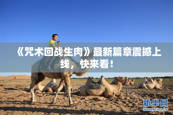 《咒术回战生肉》最新篇章震撼上线，快来看！