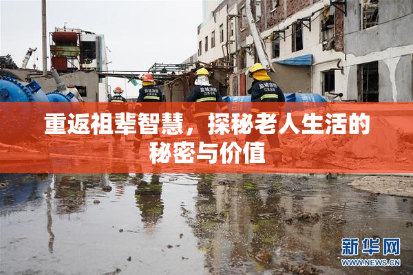 重返祖辈智慧，探秘老人生活的秘密与价值