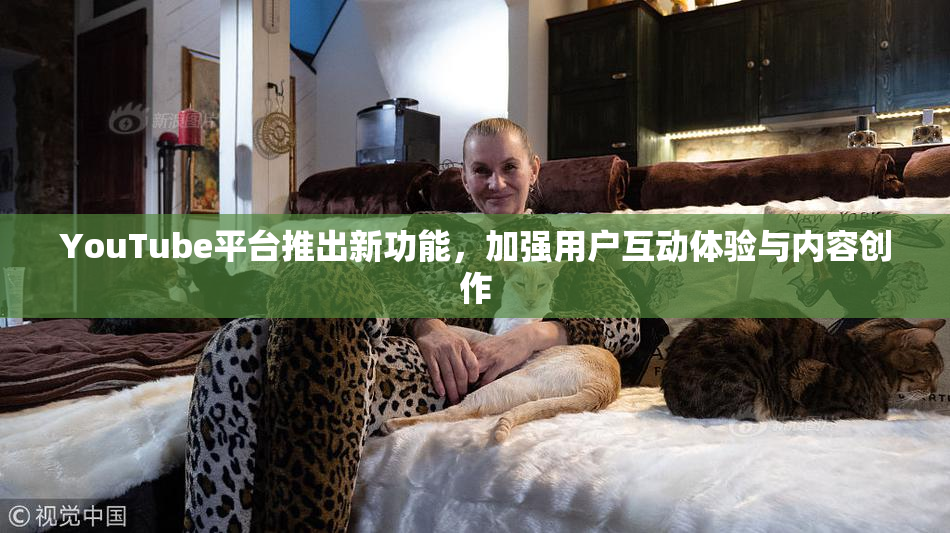 YouTube平台推出新功能，加强用户互动体验与内容创作