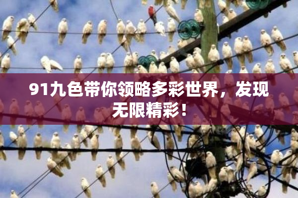 91九色带你领略多彩世界，发现无限精彩！