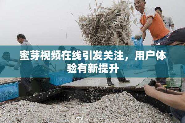 蜜芽视频在线引发关注，用户体验有新提升