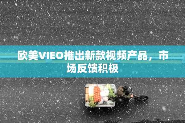欧美VIEO推出新款视频产品，市场反馈积极