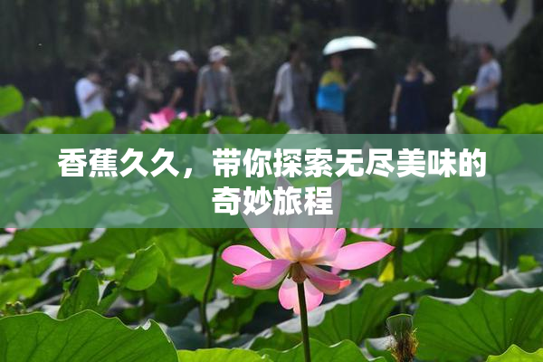 香蕉久久，带你探索无尽美味的奇妙旅程