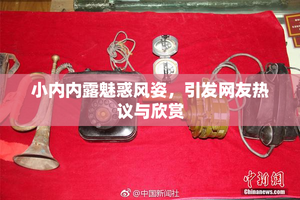 小内内露魅惑风姿，引发网友热议与欣赏