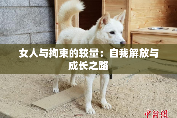 女人与拘束的较量：自我解放与成长之路