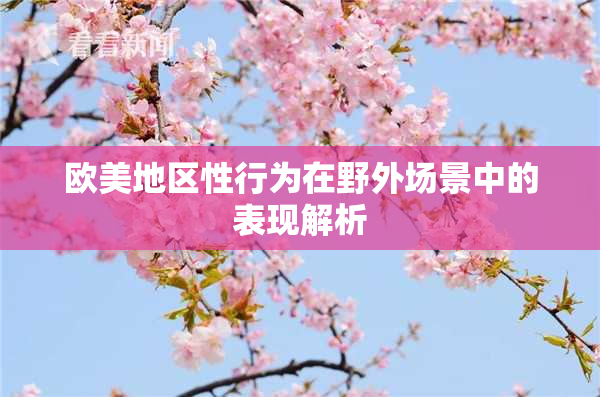 欧美地区性行为在野外场景中的表现解析