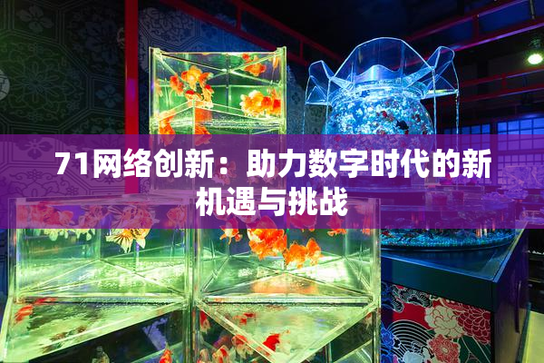 71网络创新：助力数字时代的新机遇与挑战