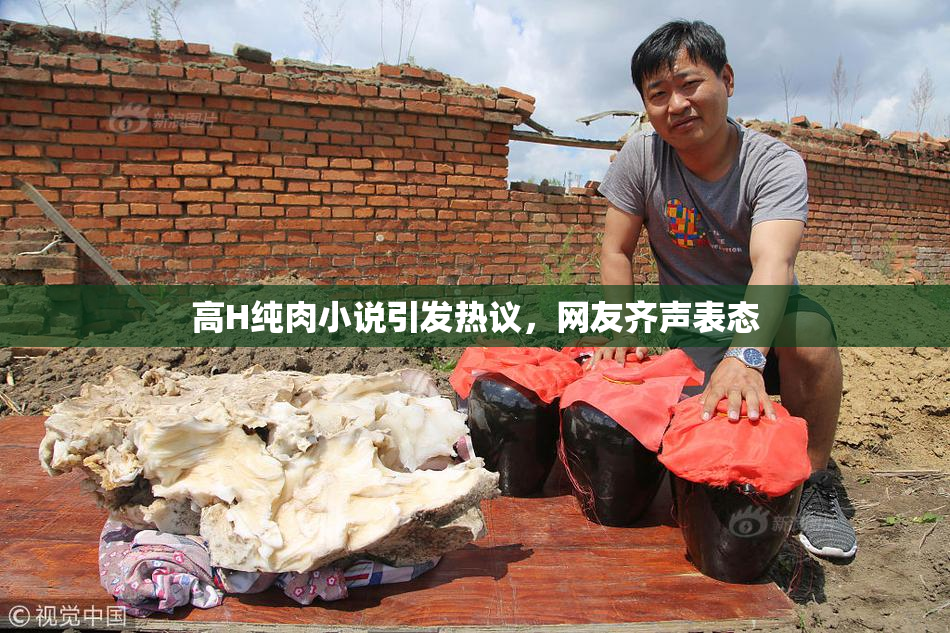 高H纯肉小说引发热议，网友齐声表态