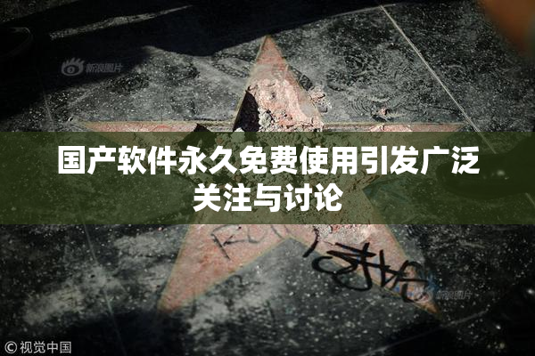 国产软件永久免费使用引发广泛关注与讨论