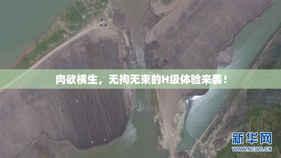 肉欲横生，无拘无束的H级体验来袭！