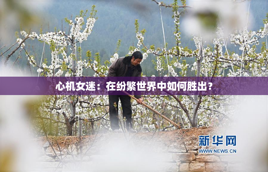 心机女迷：在纷繁世界中如何胜出？