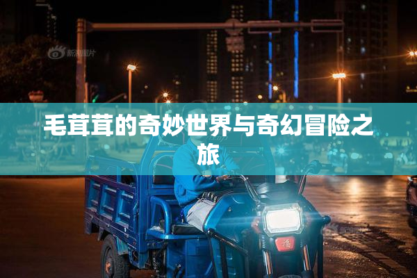 毛茸茸的奇妙世界与奇幻冒险之旅