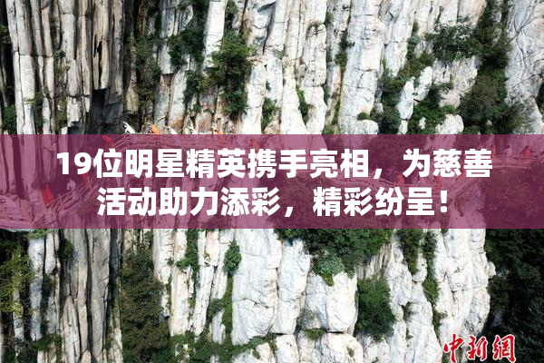 19位明星精英携手亮相，为慈善活动助力添彩，精彩纷呈！