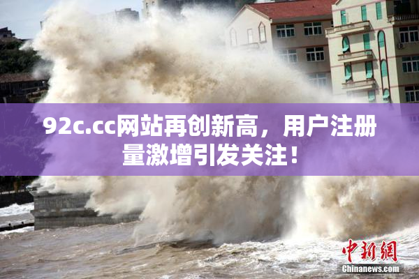 92c.cc网站再创新高，用户注册量激增引发关注！