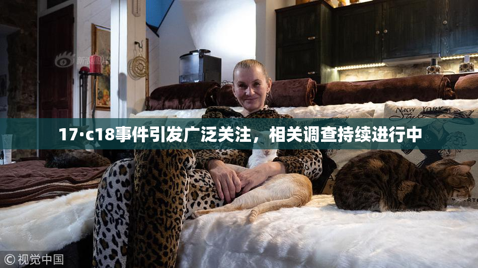 17·c18事件引发广泛关注，相关调查持续进行中