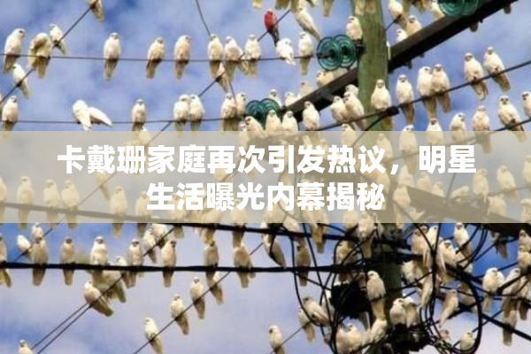 卡戴珊家庭再次引发热议，明星生活曝光内幕揭秘