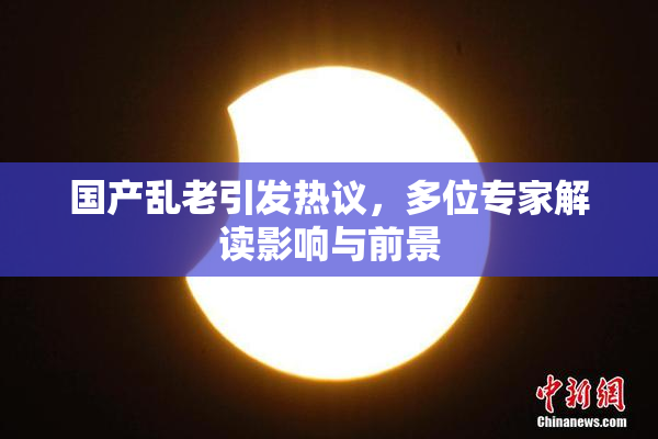 国产乱老引发热议，多位专家解读影响与前景