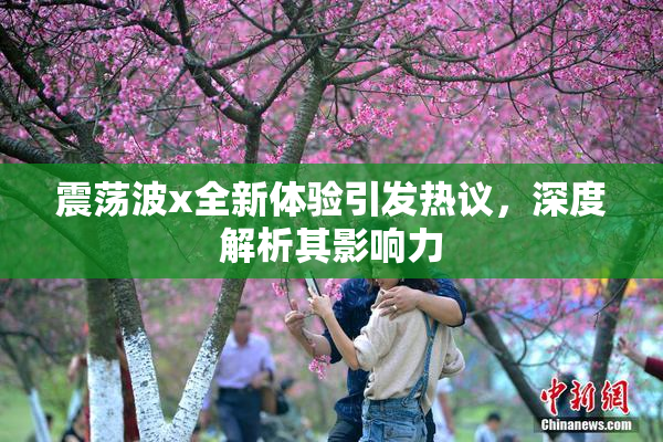 震荡波x全新体验引发热议，深度解析其影响力