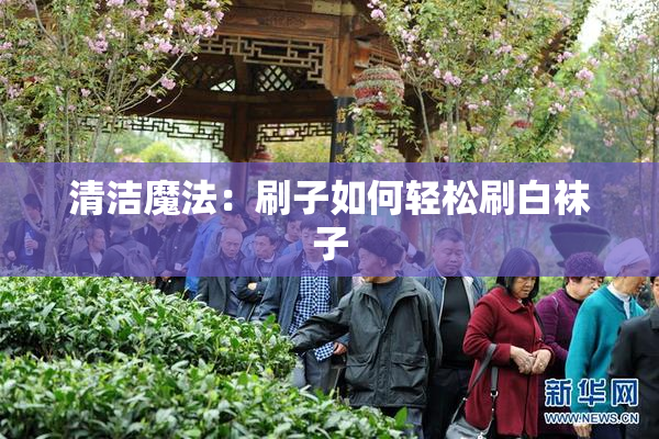 清洁魔法：刷子如何轻松刷白袜子
