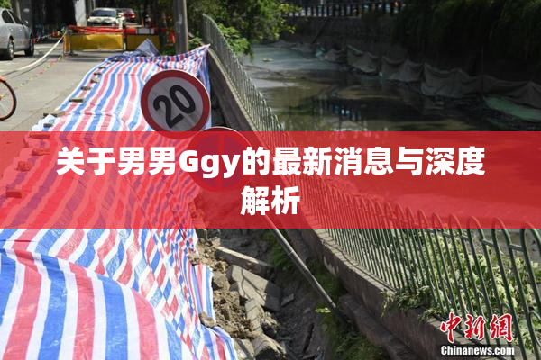 关于男男Ggy的最新消息与深度解析