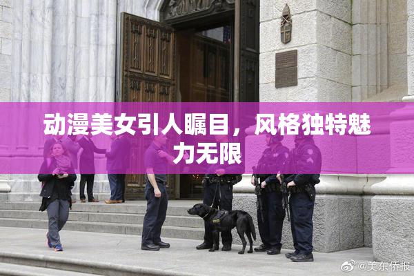 动漫美女引人瞩目，风格独特魅力无限