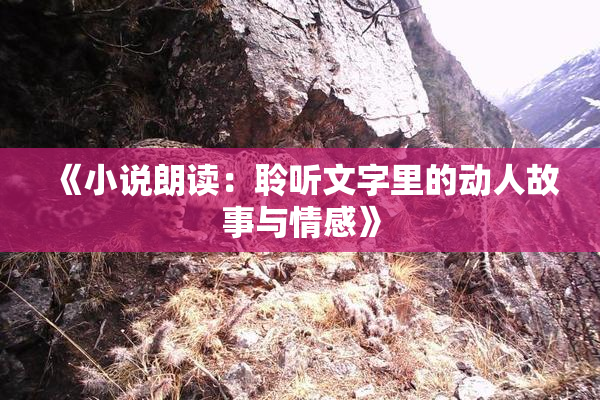 《小说朗读：聆听文字里的动人故事与情感》